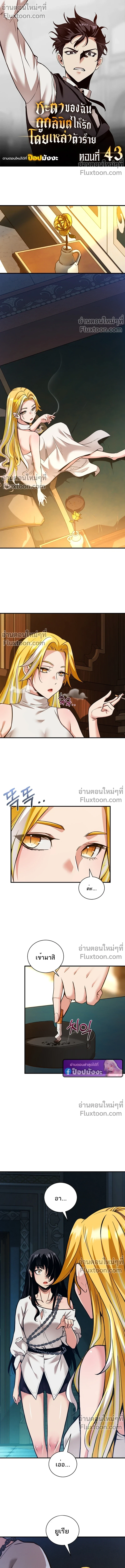 หน้าที่ 2