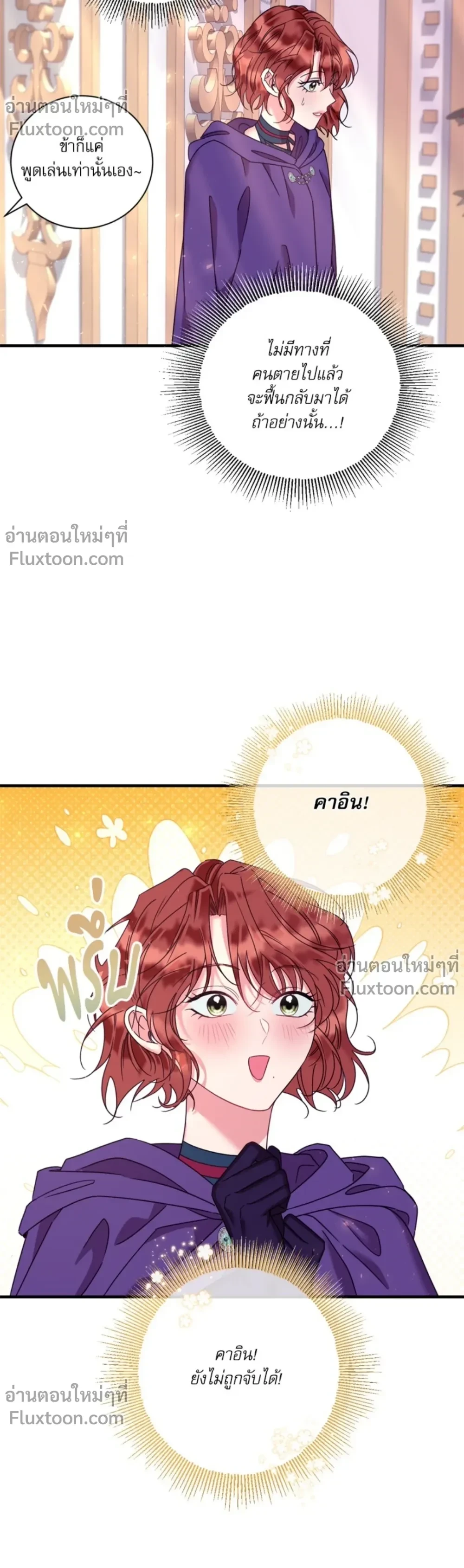 หน้าที่ 13