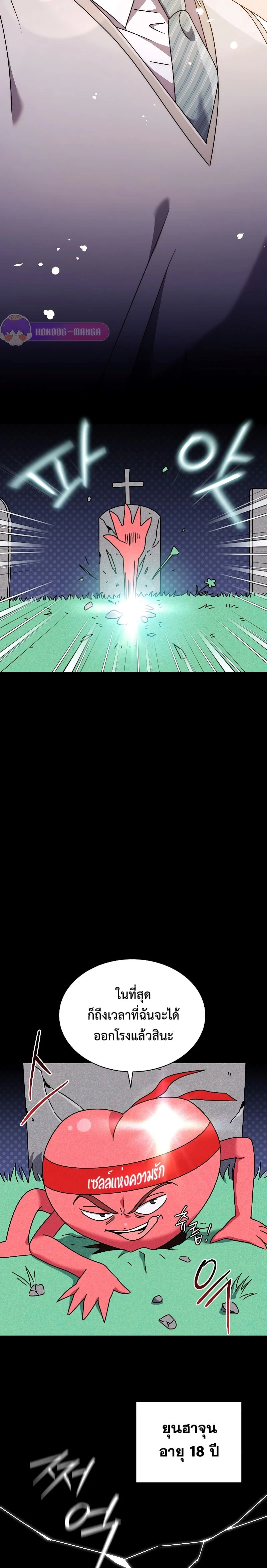 หน้าที่ 24