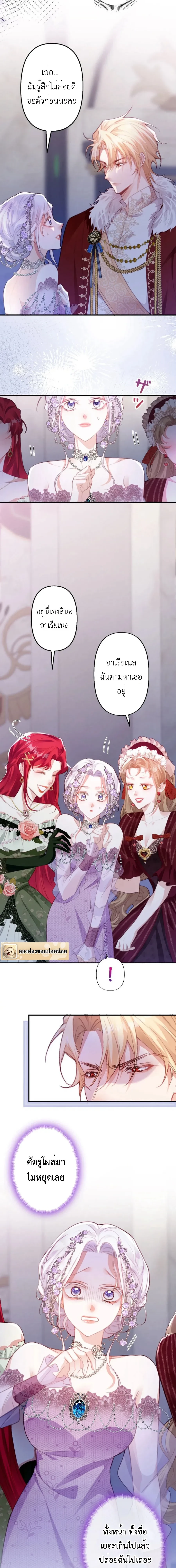 หน้าที่ 13