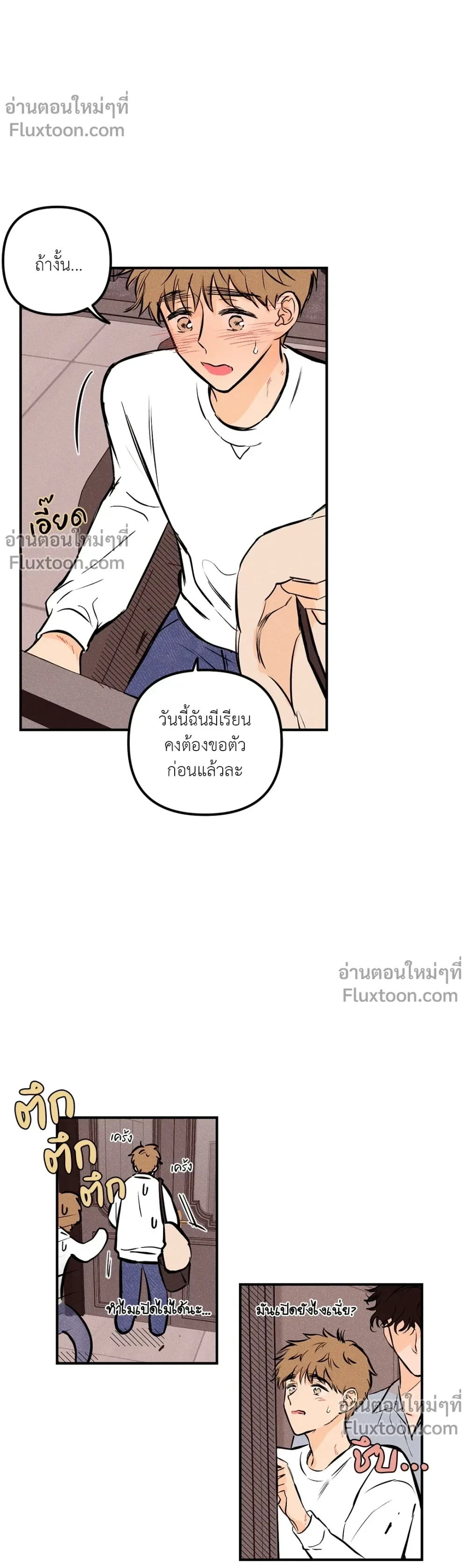 หน้าที่ 13