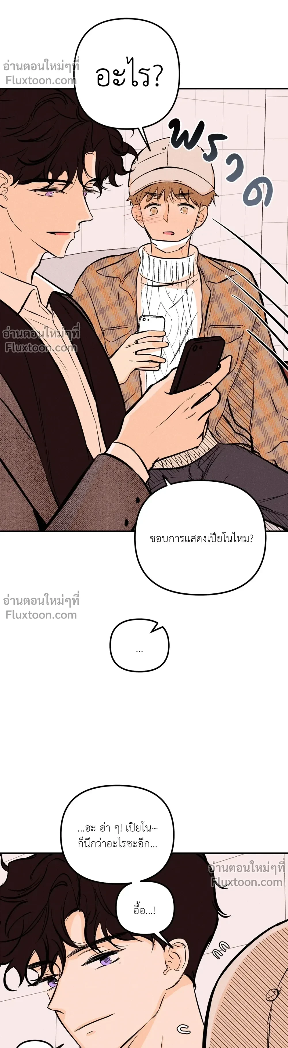 หน้าที่ 13