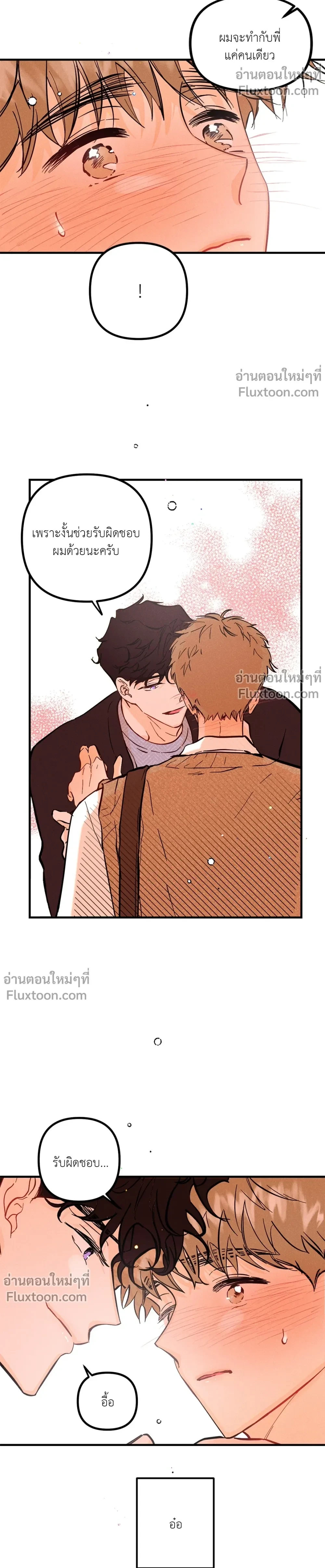 หน้าที่ 13