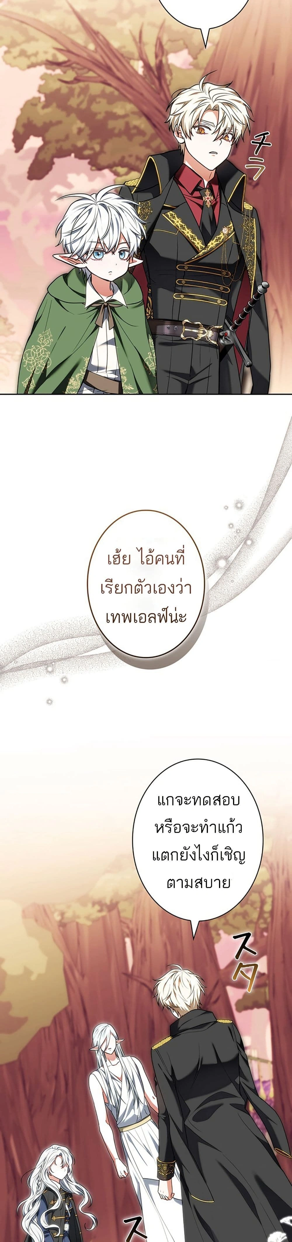 หน้าที่ 29