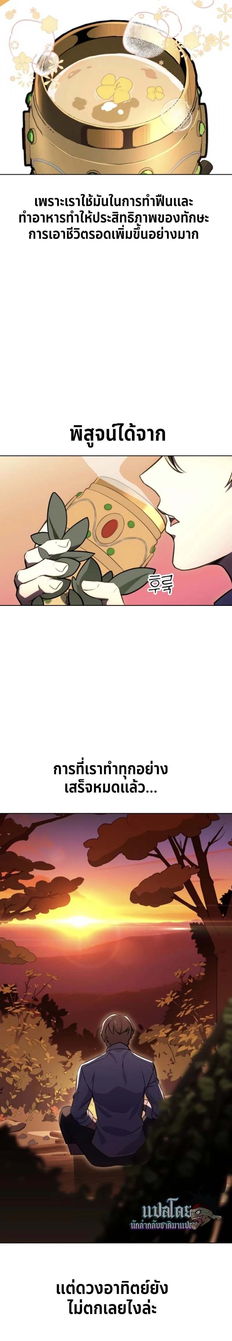 หน้าที่ 31