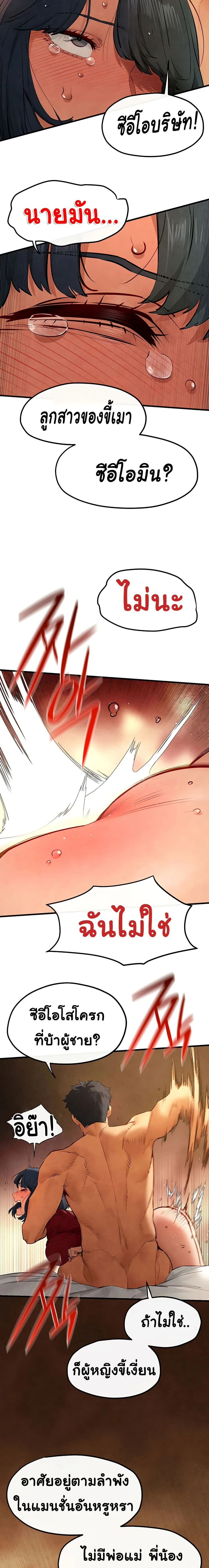 หน้าที่ 17