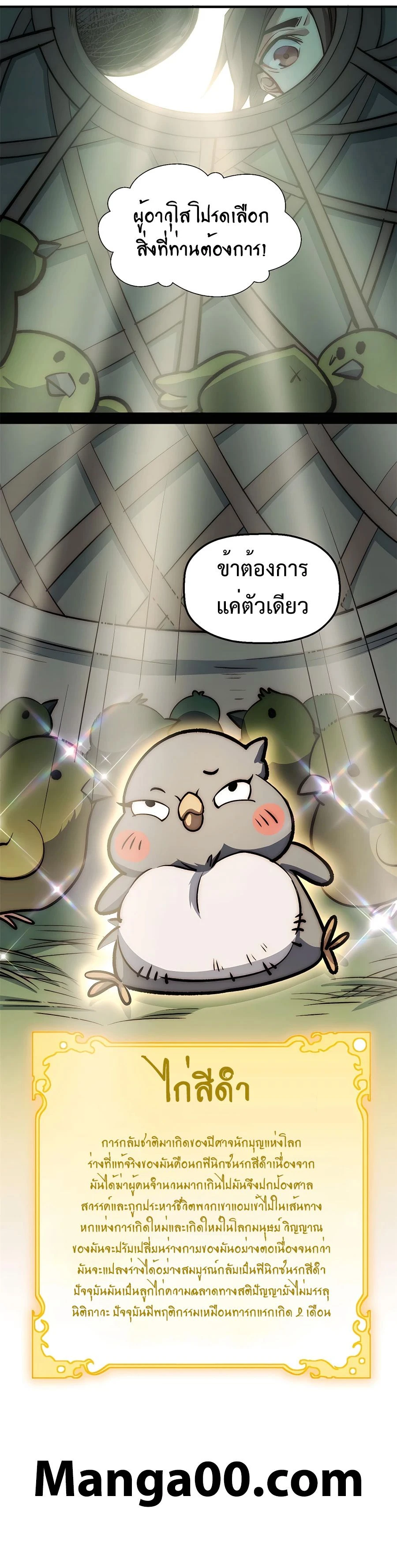 หน้าที่ 13