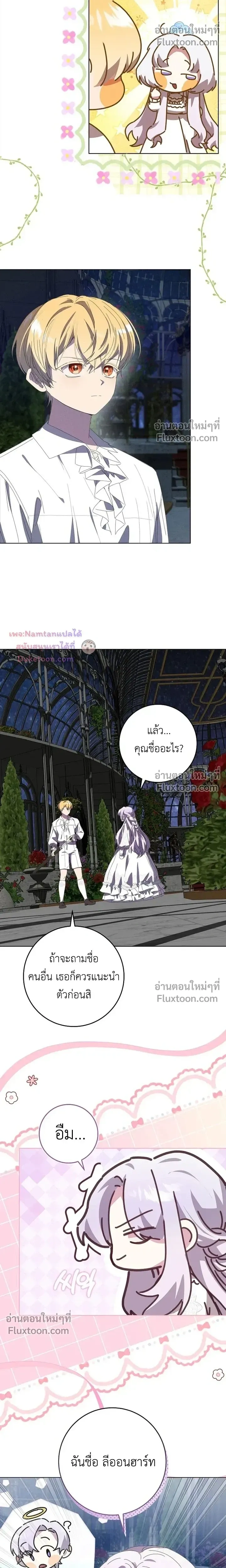 หน้าที่ 17