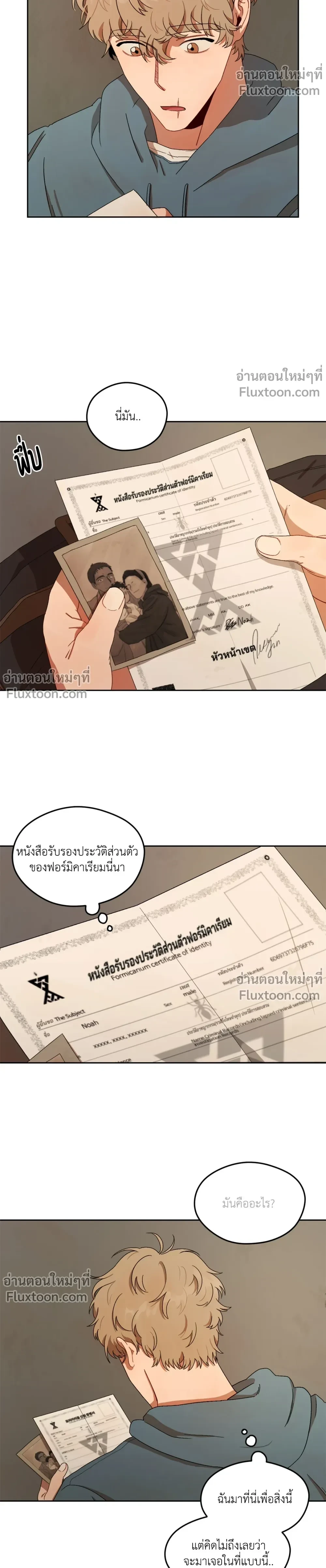 หน้าที่ 13