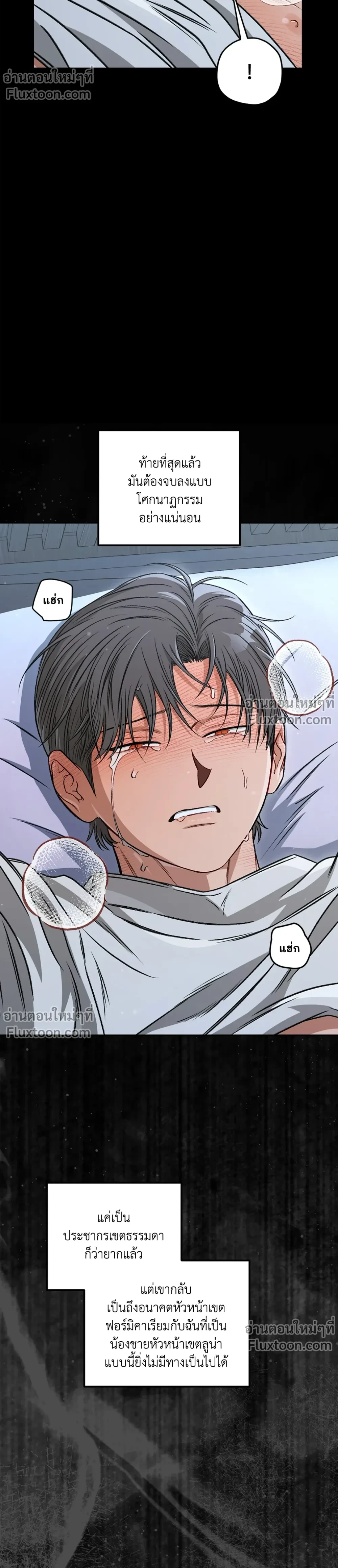 หน้าที่ 13