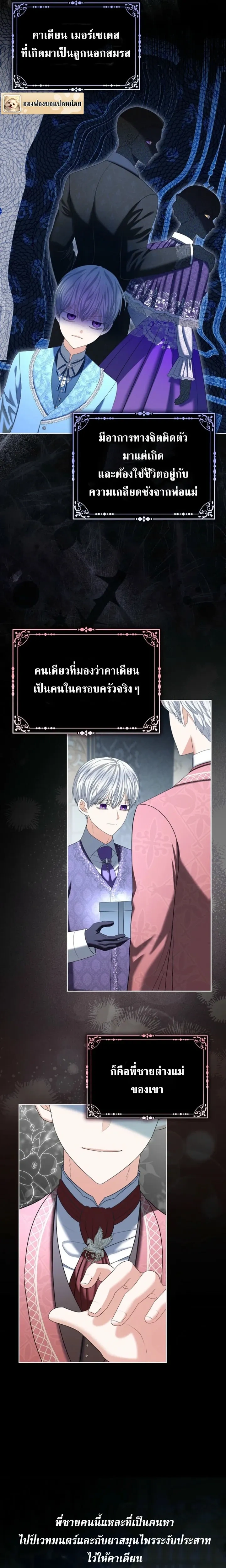 หน้าที่ 13