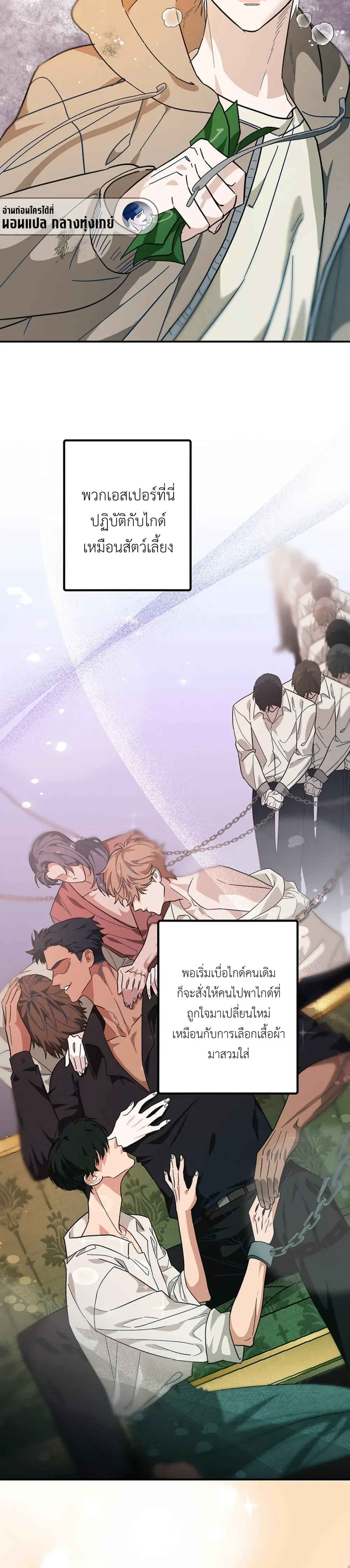 หน้าที่ 10