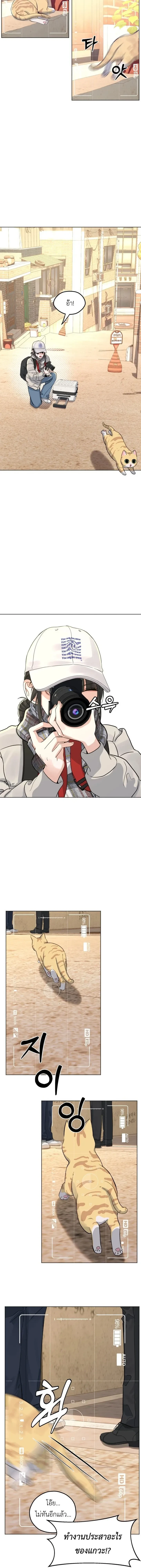 หน้าที่ 13