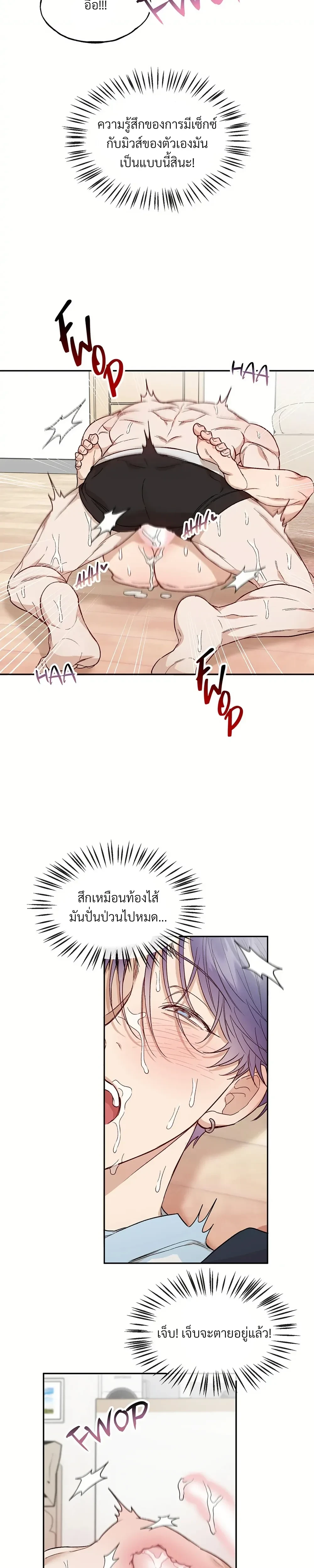 หน้าที่ 17