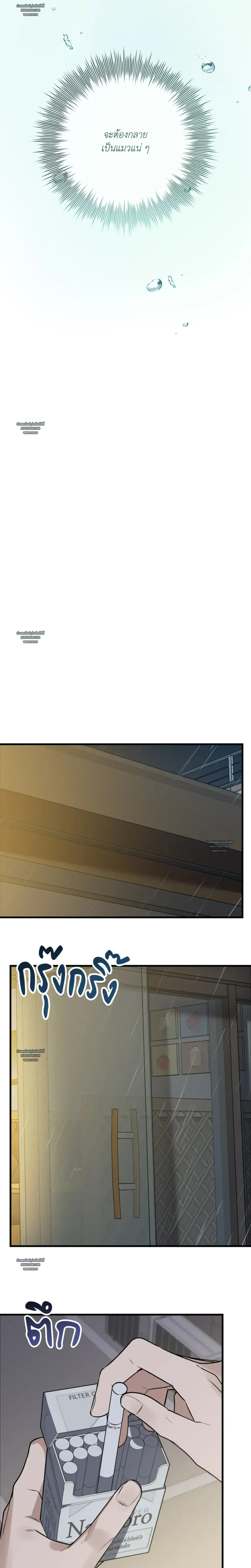 หน้าที่ 43