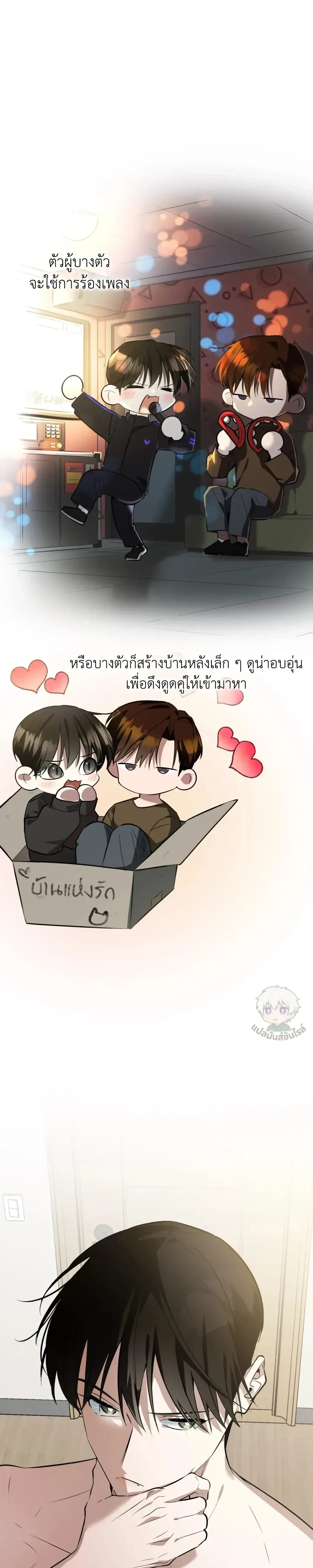 หน้าที่ 29