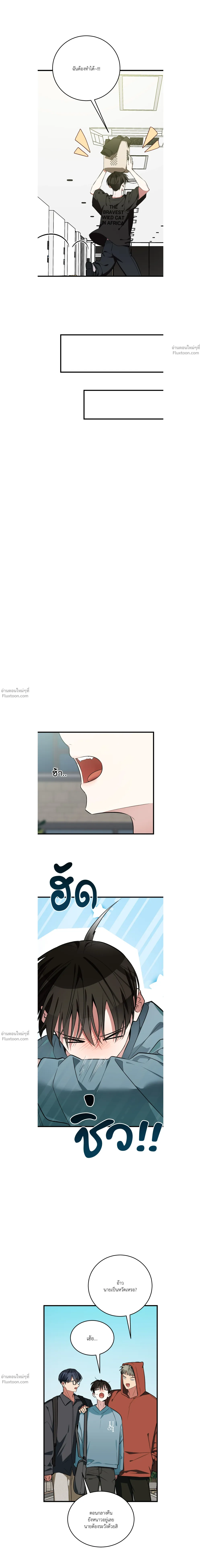 หน้าที่ 17