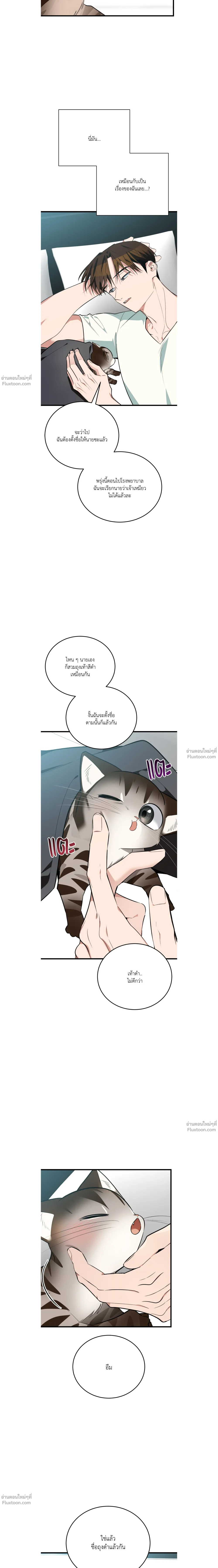 หน้าที่ 17