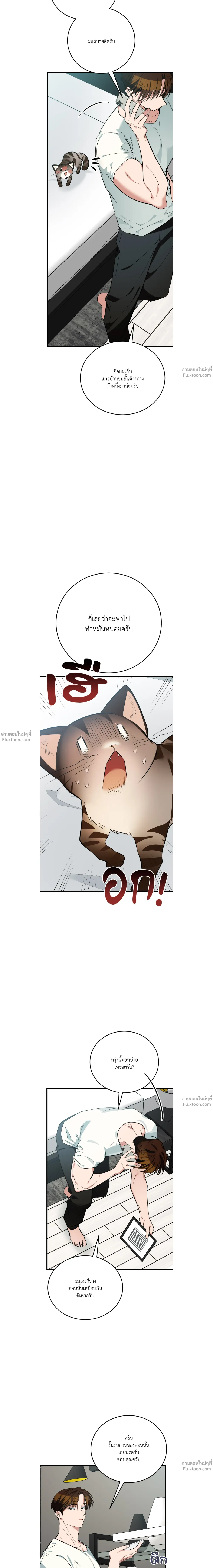 หน้าที่ 14