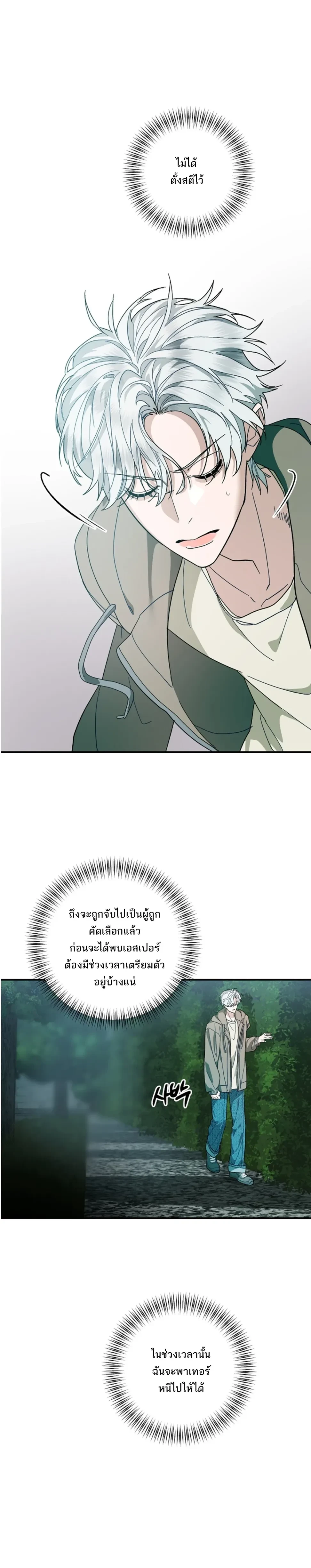 หน้าที่ 31