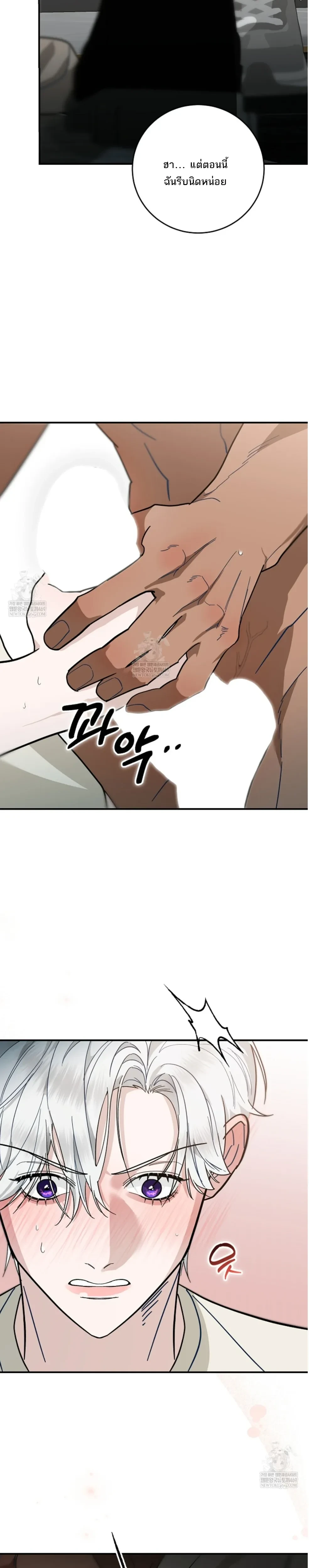 หน้าที่ 31