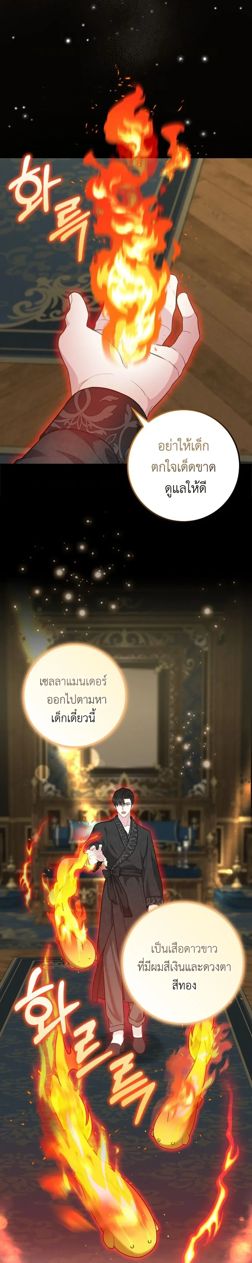 หน้าที่ 28