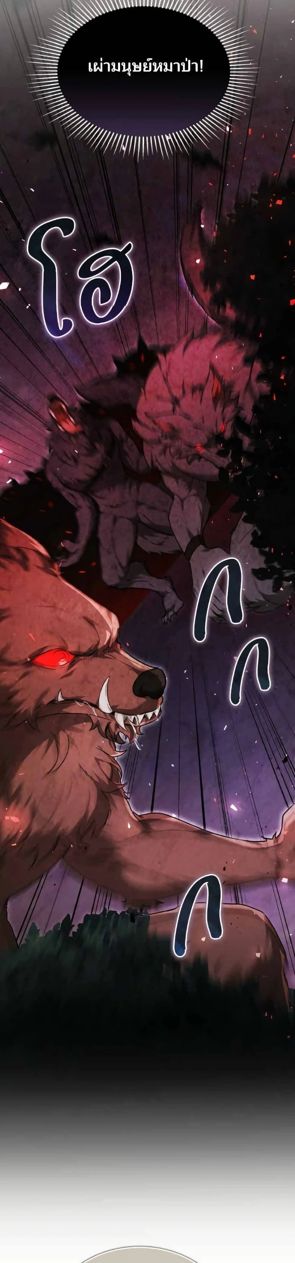 หน้าที่ 46