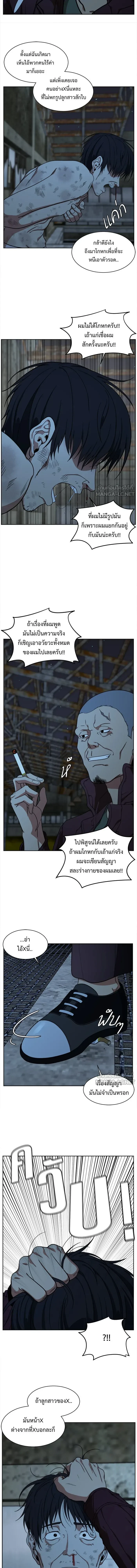 หน้าที่ 17