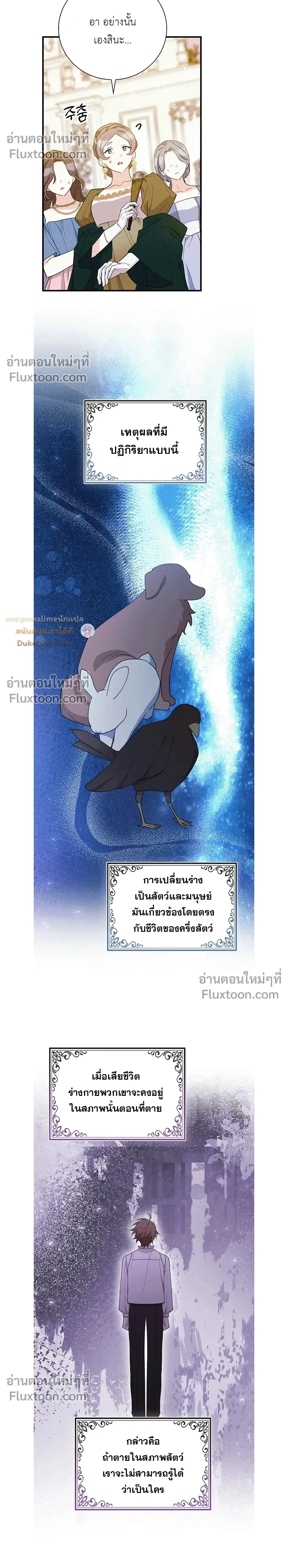 หน้าที่ 17