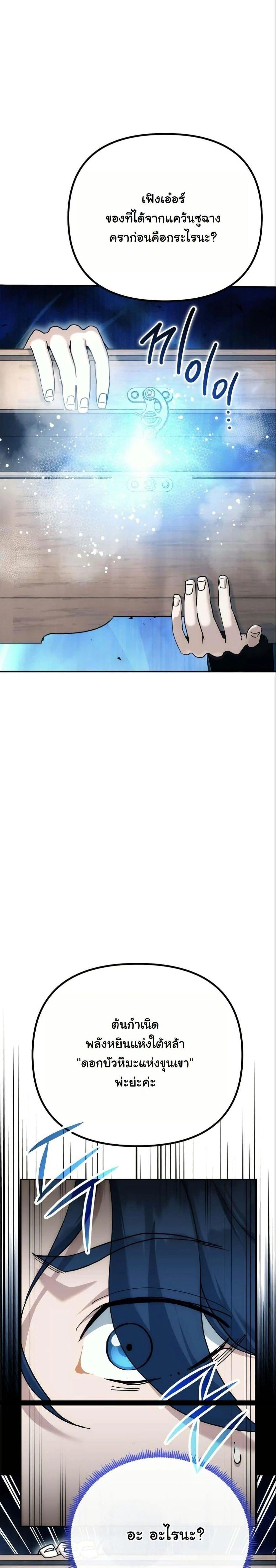 หน้าที่ 33