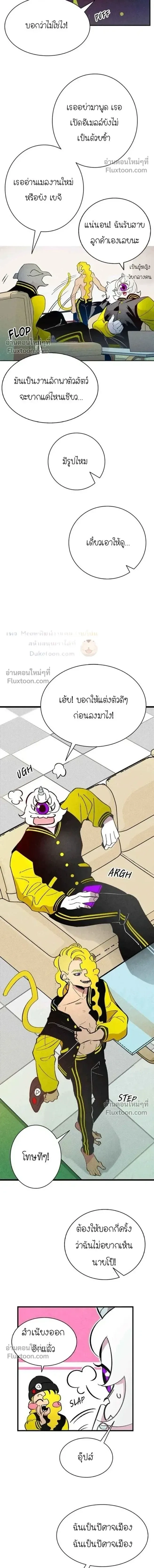 หน้าที่ 13