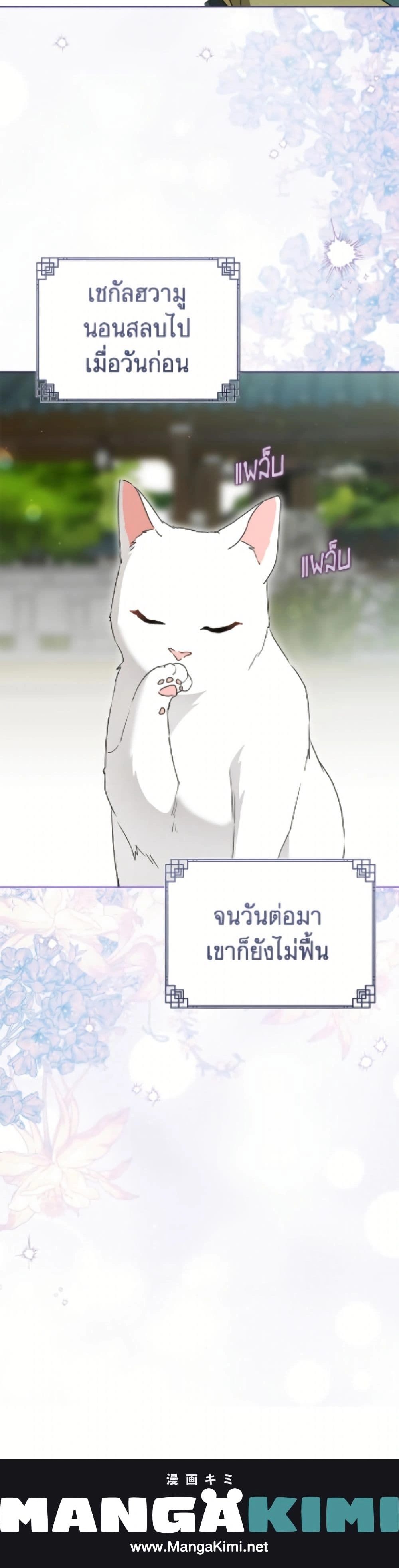 หน้าที่ 26