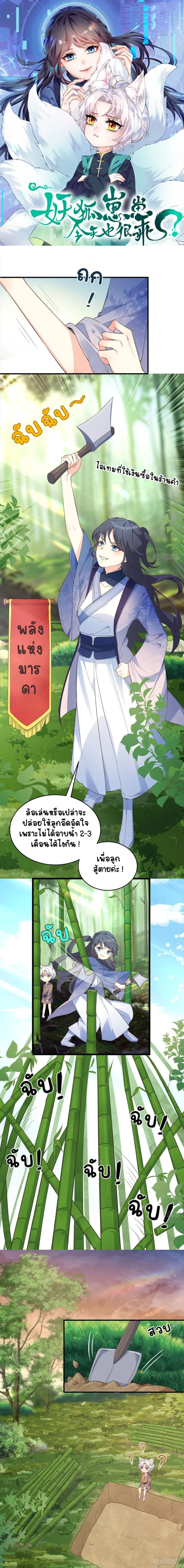 หน้าที่ 1