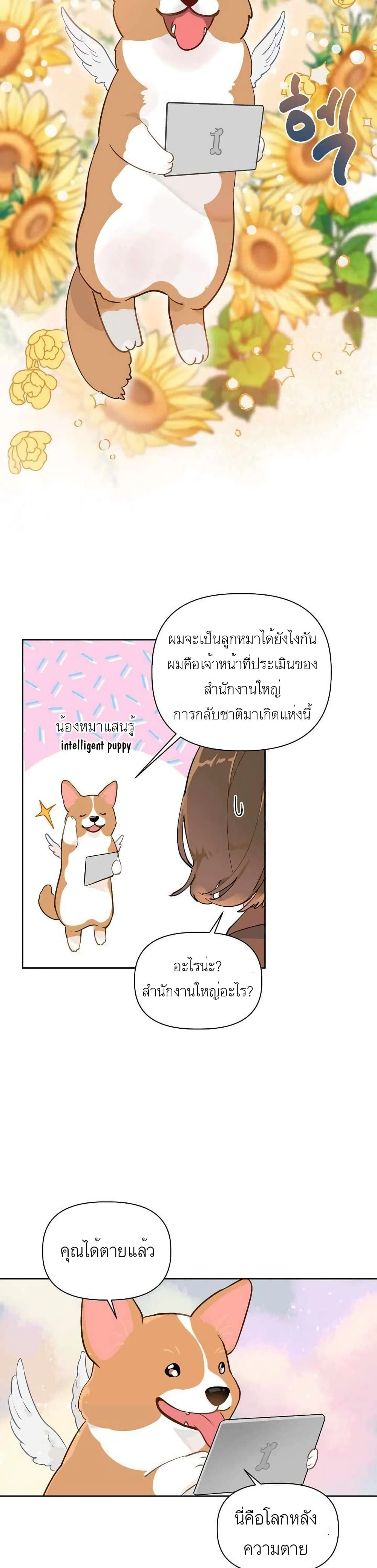 หน้าที่ 15