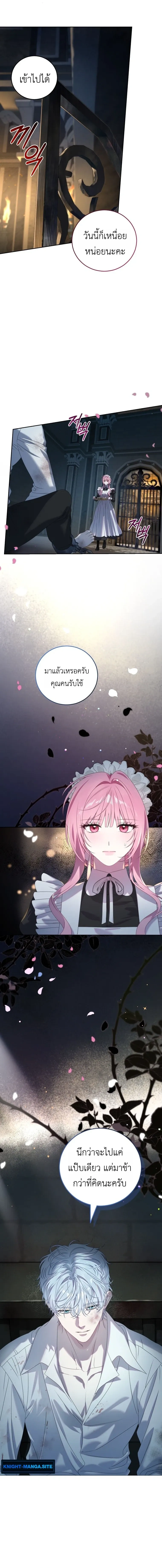 หน้าที่ 13