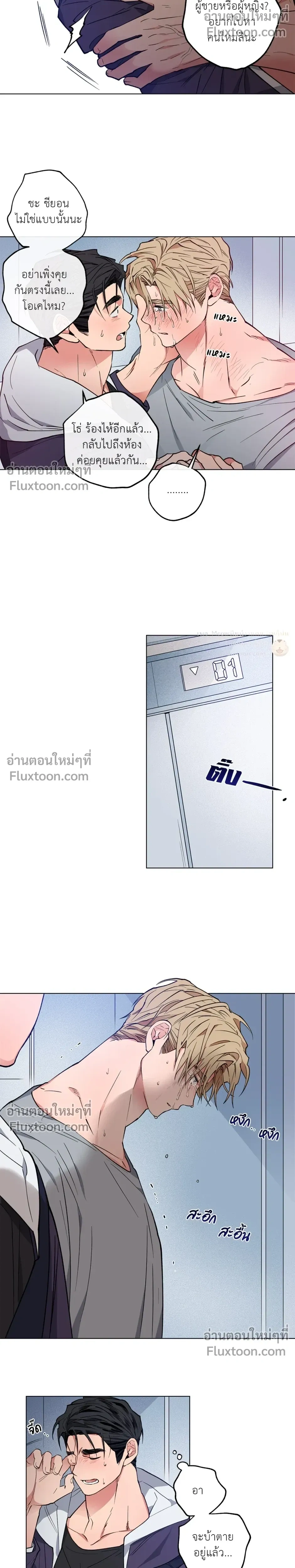 หน้าที่ 17