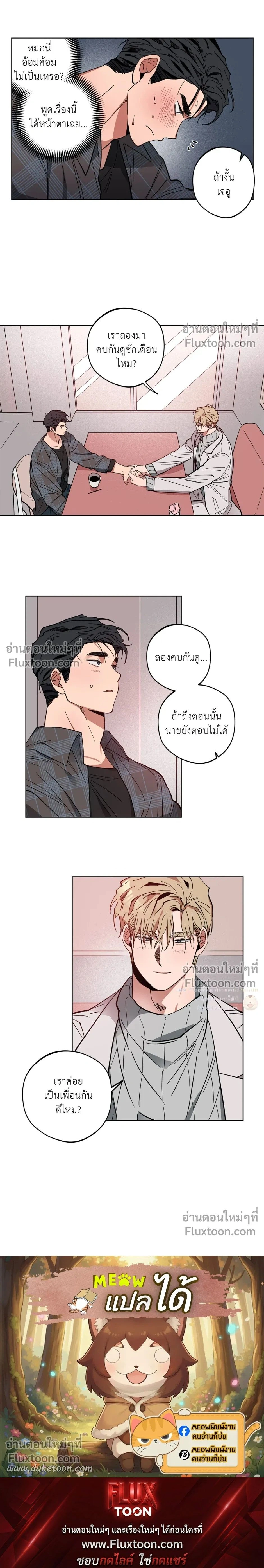 หน้าที่ 13