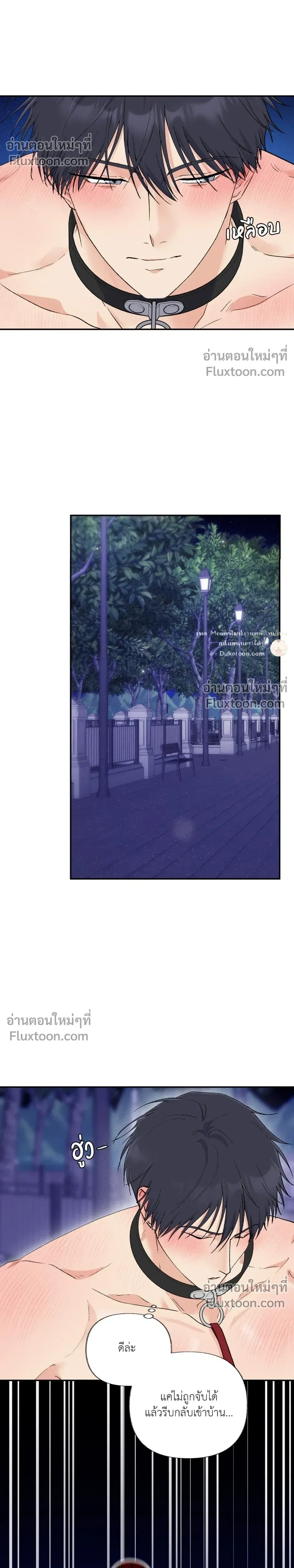 หน้าที่ 5