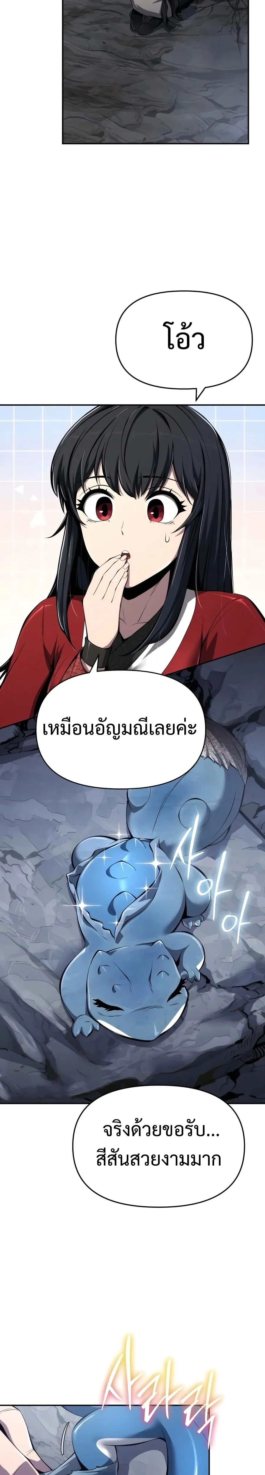 หน้าที่ 30