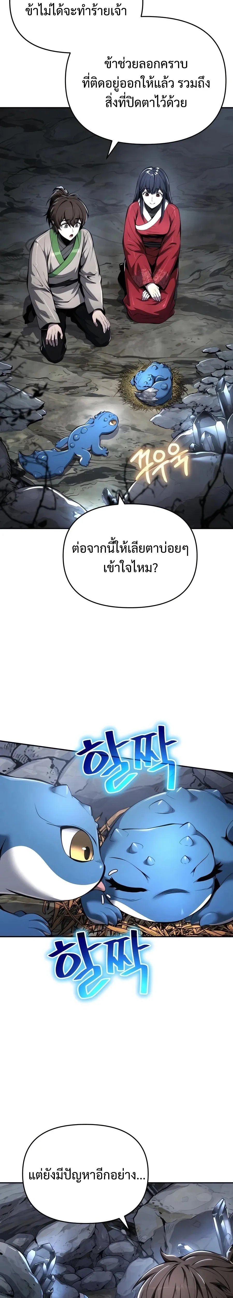 หน้าที่ 13
