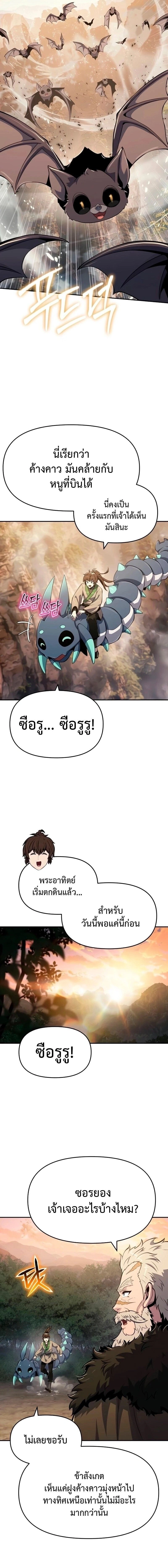 หน้าที่ 13