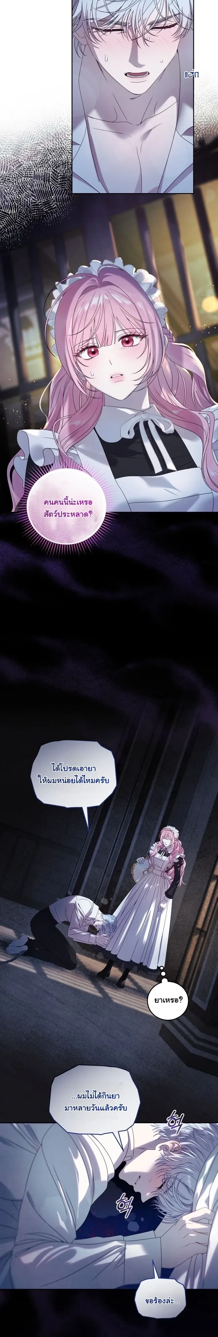 หน้าที่ 17