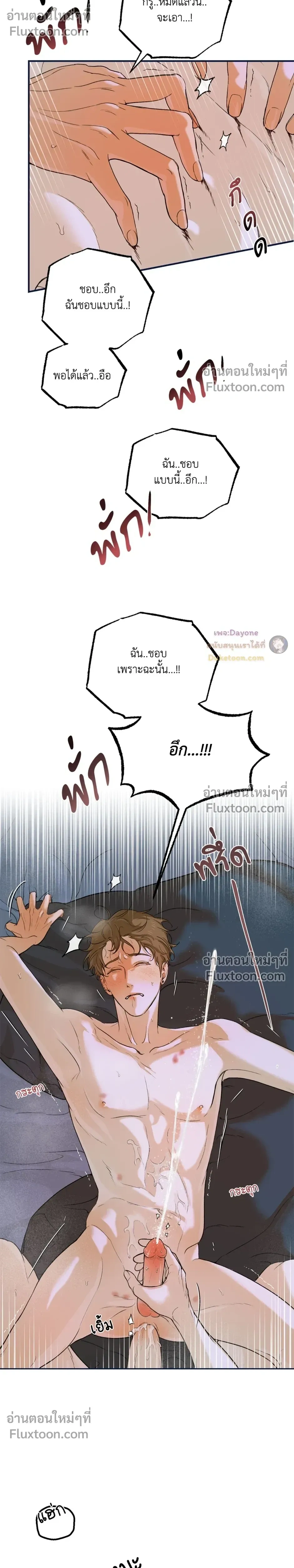 หน้าที่ 29