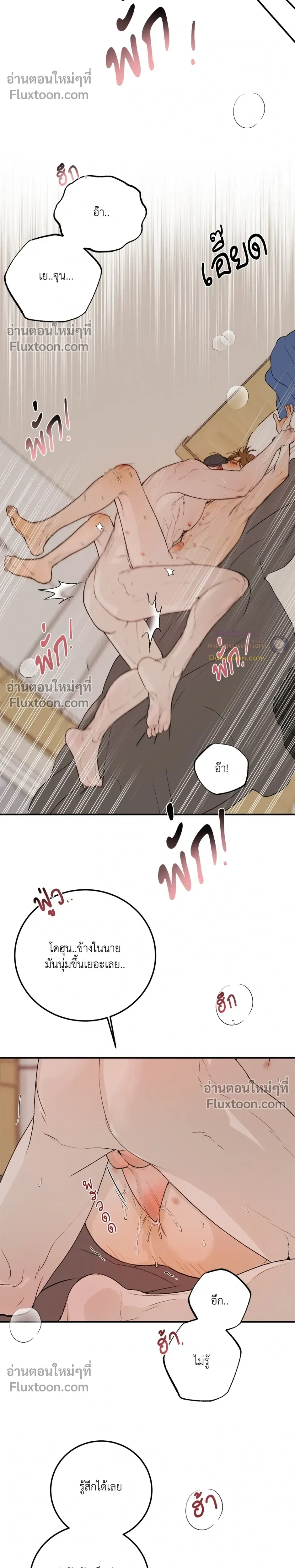 หน้าที่ 23