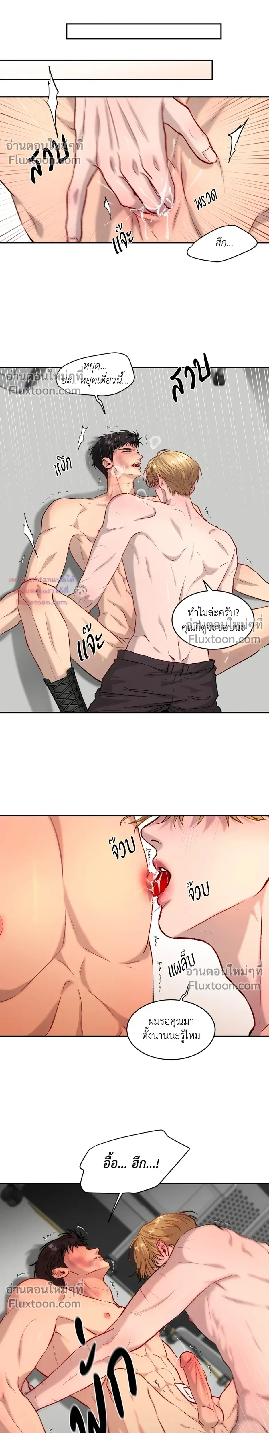 หน้าที่ 11