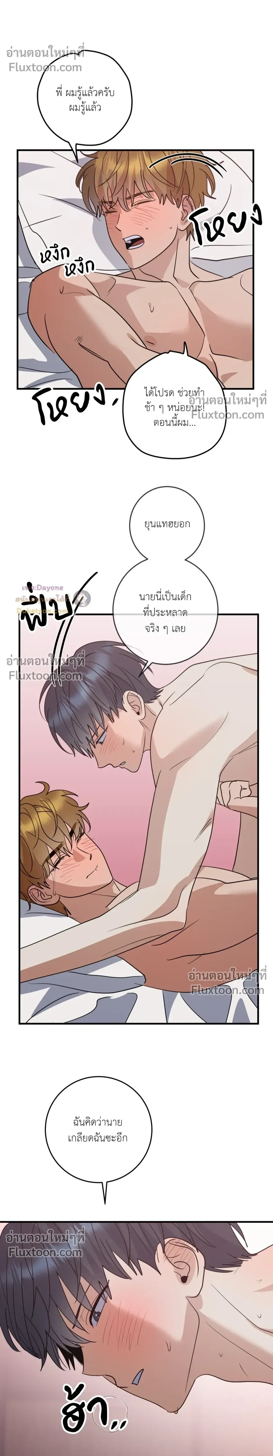 หน้าที่ 17