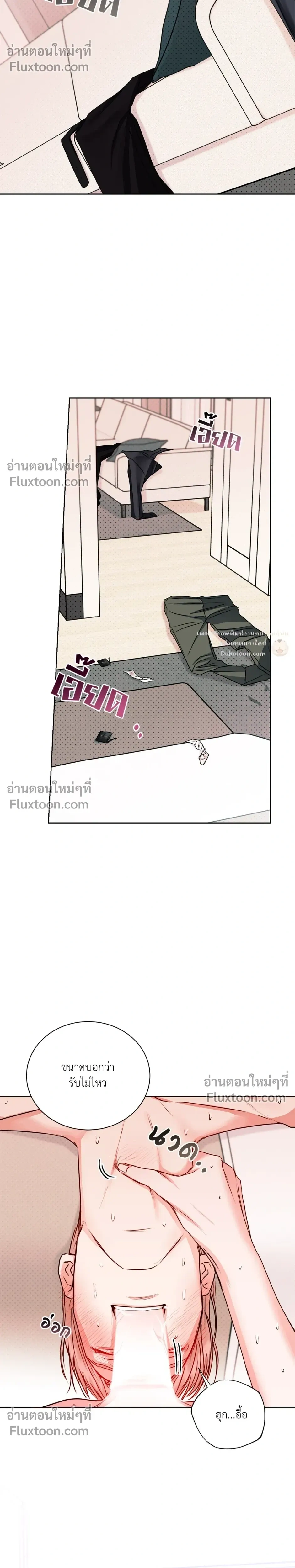 หน้าที่ 17