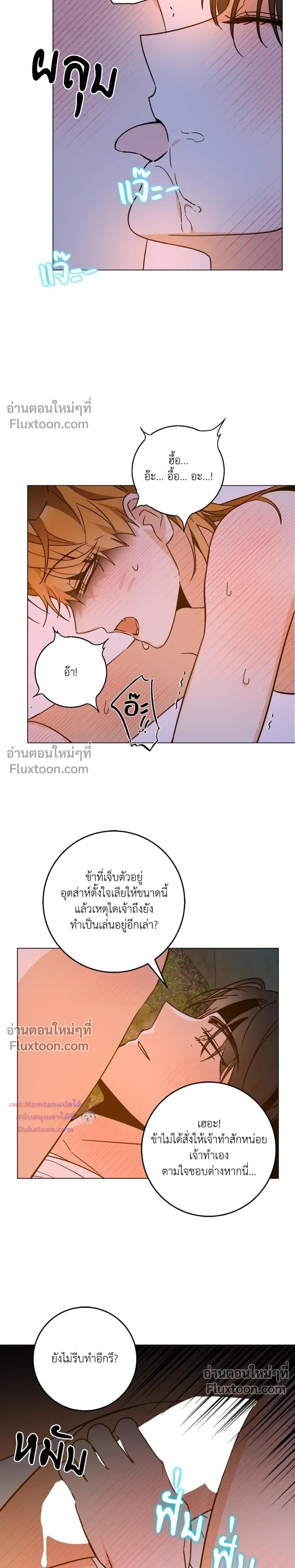 หน้าที่ 16