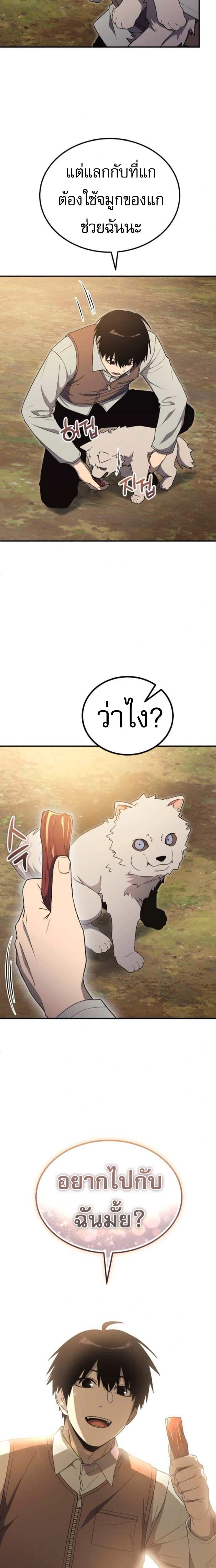 หน้าที่ 29