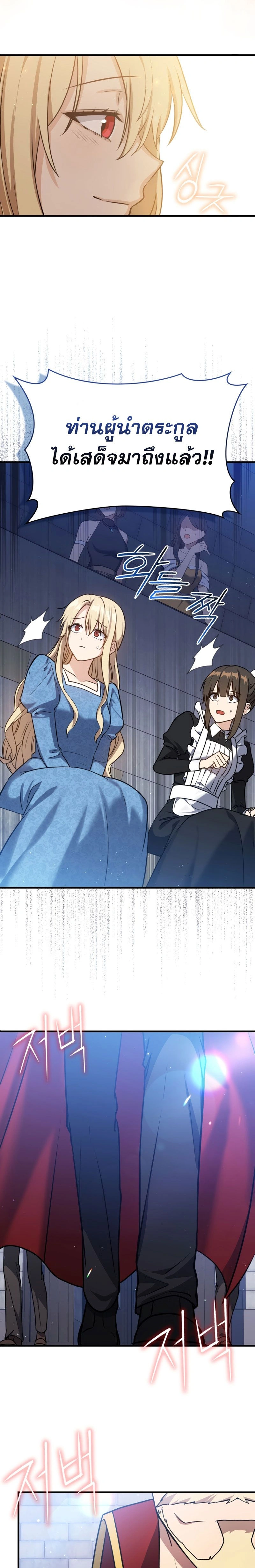 หน้าที่ 29